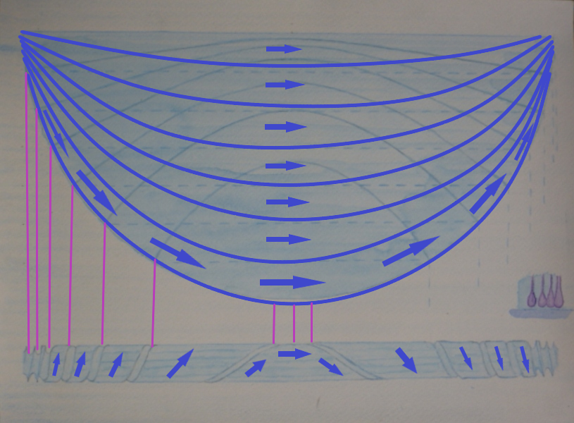 5.1 curent dielect 2