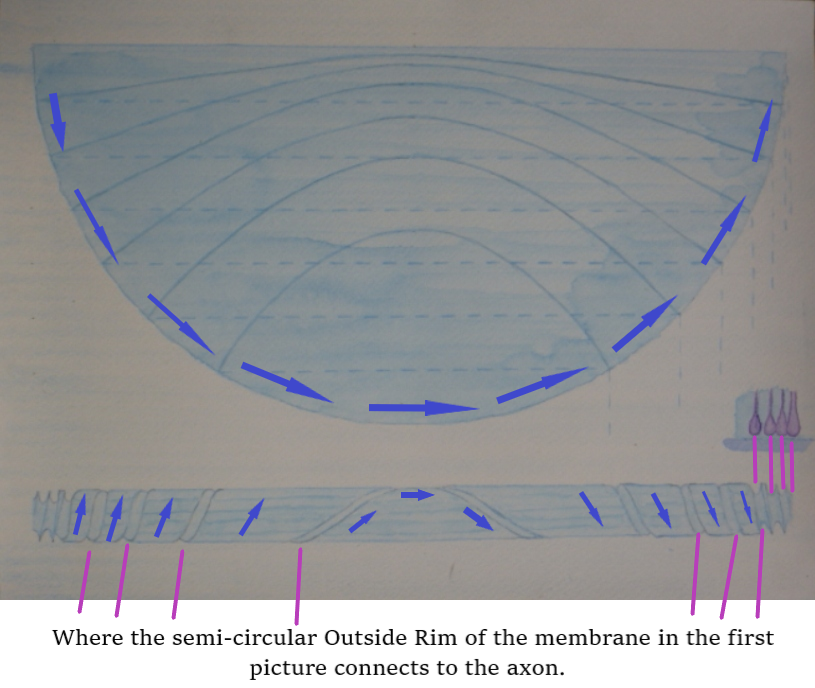 5.1 fow direction 1a