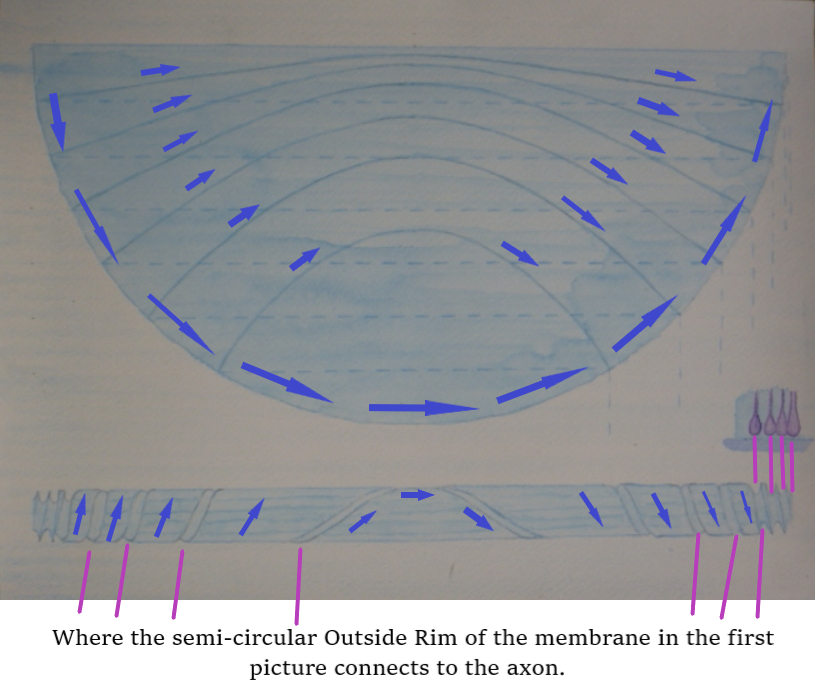 5.1 fow direction 1a arrows 2