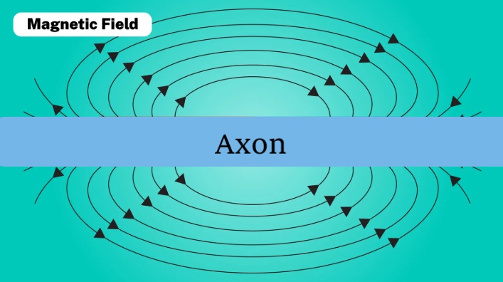 magnetic Axon