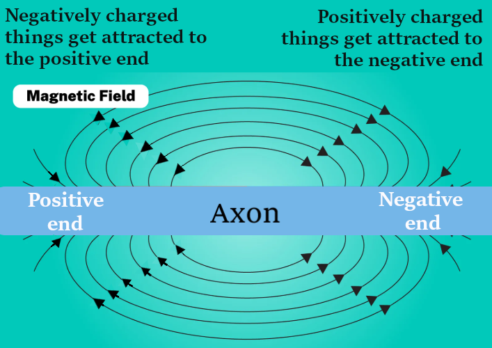 magnetic Axon arrows text fin