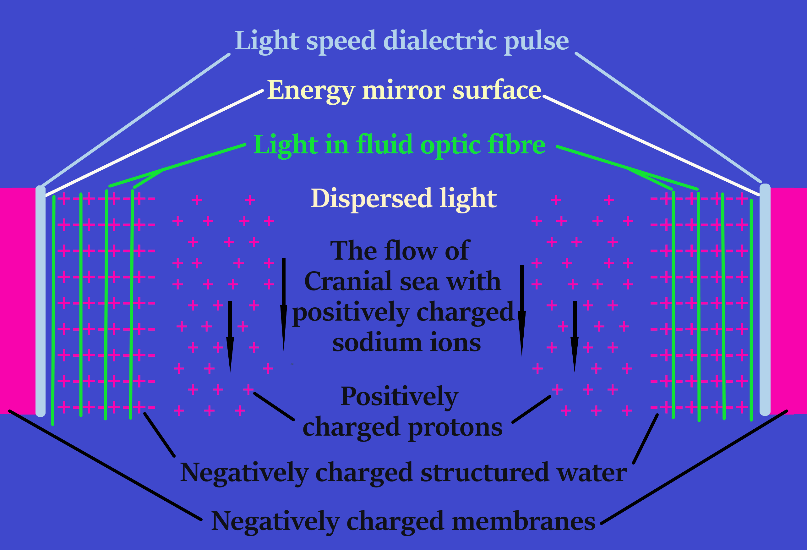 stuctured water 2fin 5
