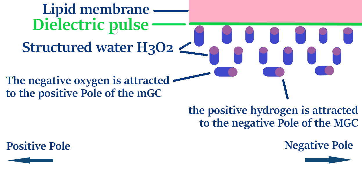 water 345 make 3 text