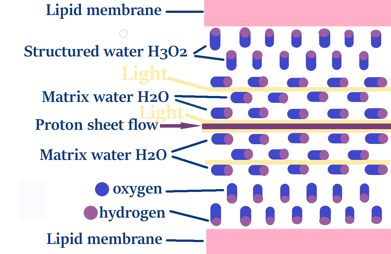 water 345 arrow 3 text 